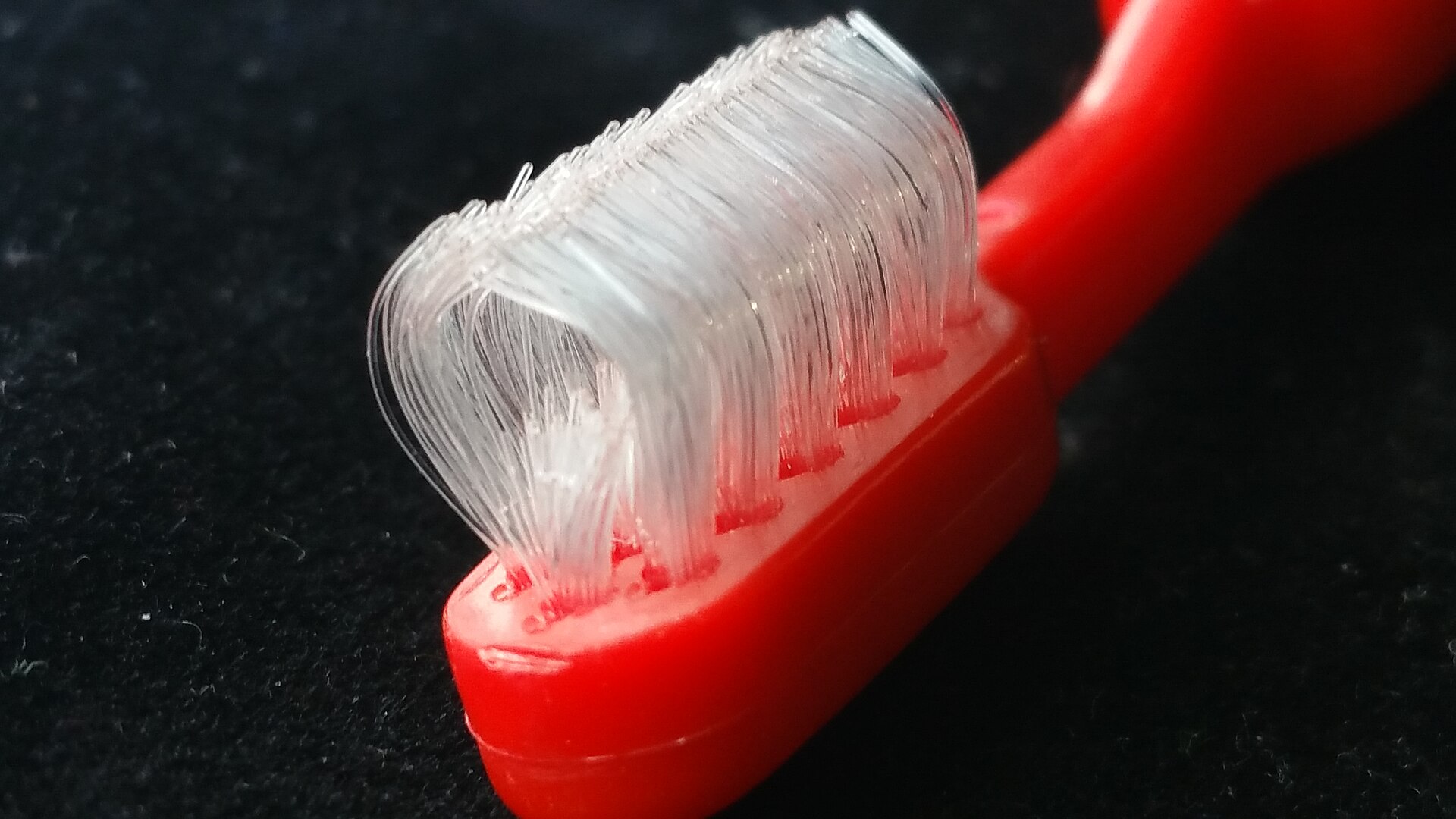 Extreme close-up of the curved nylon bristles of a toothbrush head.